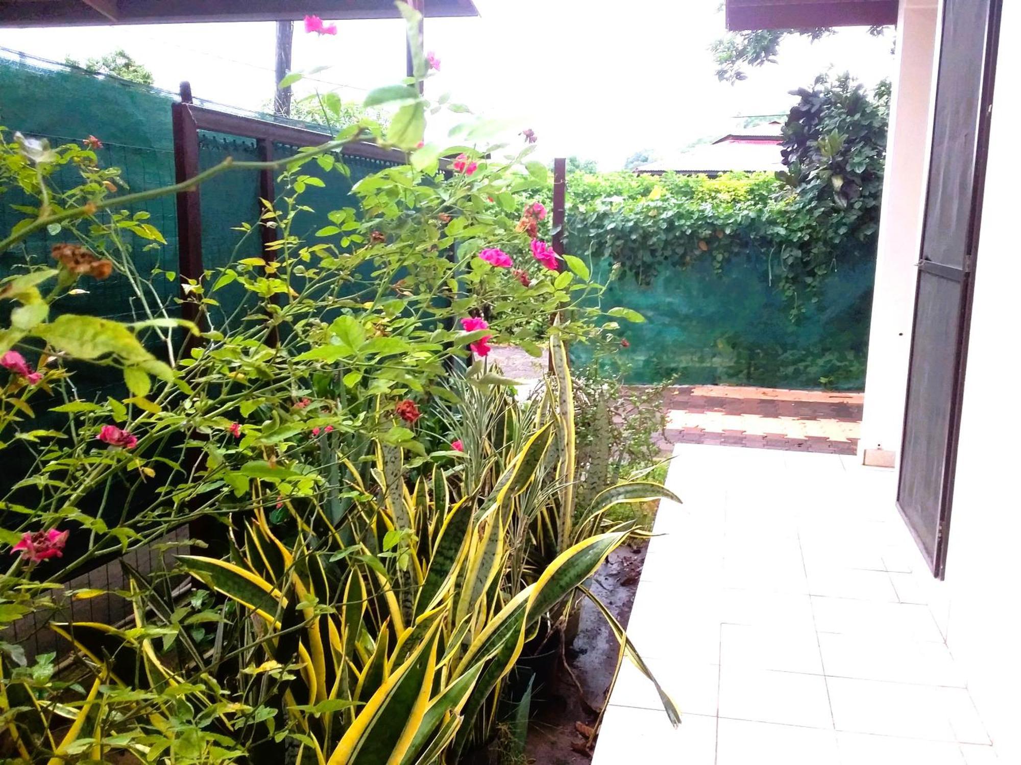 Belle Maison F3 Papeete  Exterior foto